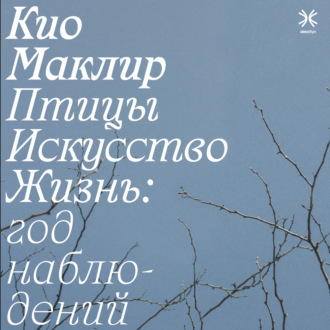 Обложка книги «Птицы, искусство, жизнь: год наблюдений»