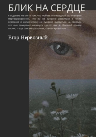 Обложка книги «Блик на сердце»