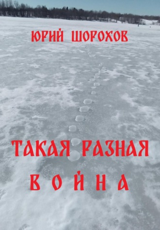 Обложка книги «Такая разная война»