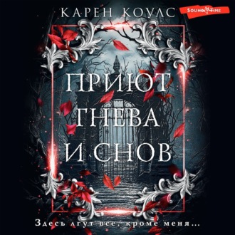 Обложка книги «Приют гнева и снов»