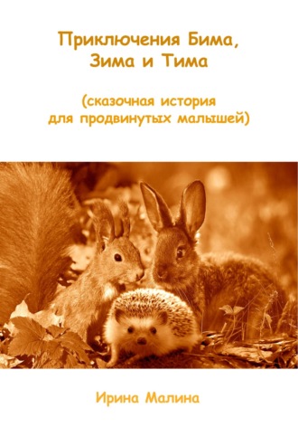 Обложка книги «Приключения Бима, Зима и Тима. Сказочная история для продвинутых малышей»