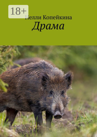 Обложка книги «Драма»