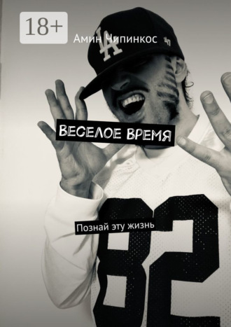 Обложка книги «Веселое Время. Познай эту жизнь»