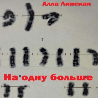 Обложка книги «На одну больше»