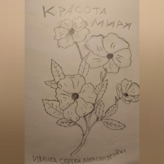 Обложка книги «Красота Мира»