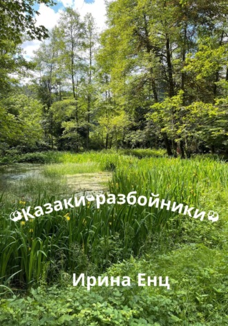 Ирина Юльевна Енц. «Казаки-разбойники»
