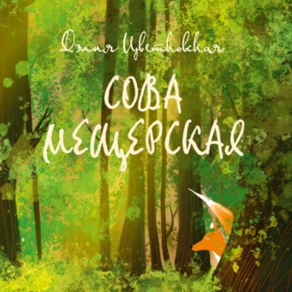 Обложка книги «Сова Мещерская»