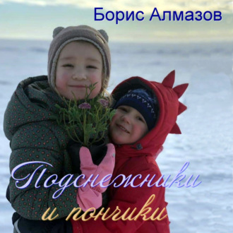 Обложка книги «Подснежники и пончики»