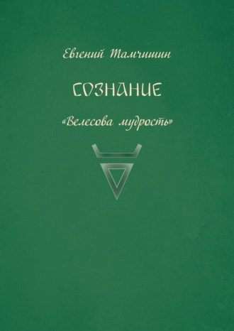 Обложка книги «Сознание»