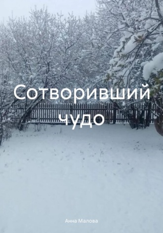 Обложка книги «Сотворивший чудо»