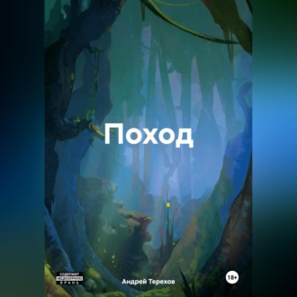 Обложка книги «Поход»