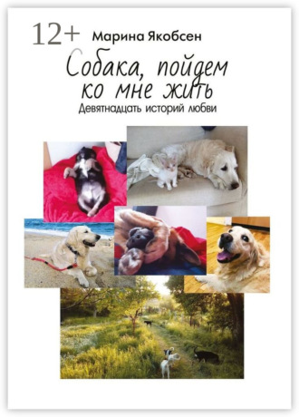 Обложка книги «Собака, пойдем ко мне жить. Девятнадцать историй любви»