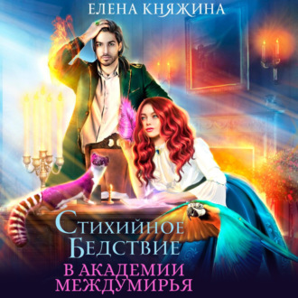 Обложка книги «Стихийное бедствие в Академии Междумирья»