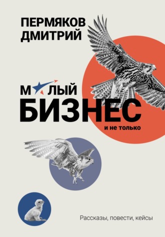 Дмитрий Владимирович Пермяков. О бизнесе на примерах. Сборник рассказов