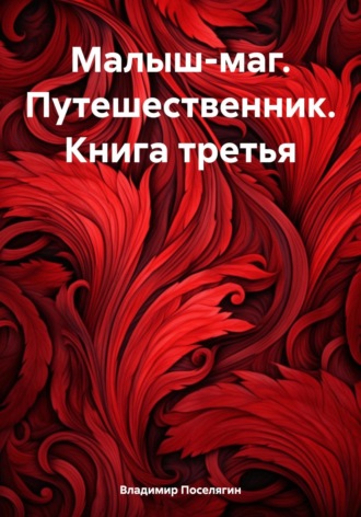 Обложка книги «Малыш-маг. Путешественник. Книга третья»