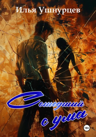 Обложка книги «Сошедший с ума»