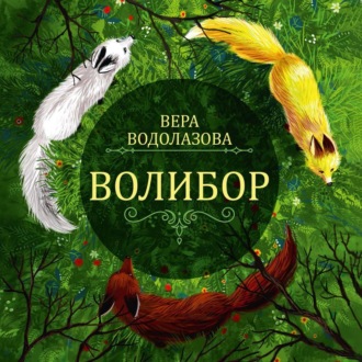 Обложка книги «Волибор»