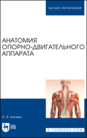 О. В. Калмин. Анатомия опорно-двигательного аппарата. Учебное пособие для вузов