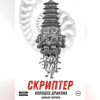 Обложка книги «Скриптер. Колодец Дракона»
