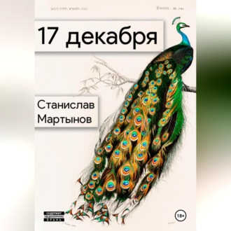 Обложка книги «17 декабря»
