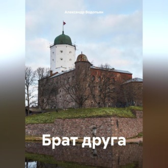 Обложка книги «Брат друга»