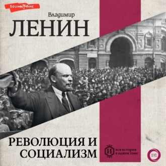 Обложка книги «Революция и социализм»