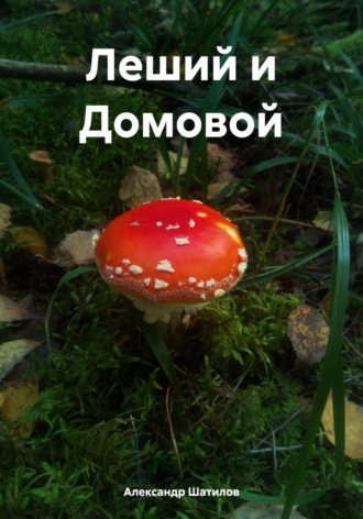 Обложка книги «Леший и Домовой»