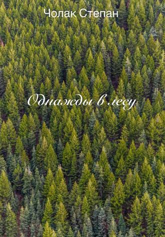 Обложка книги «Однажды в лесу»