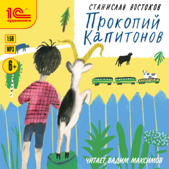 Обложка книги «Прокопий Капитонов»