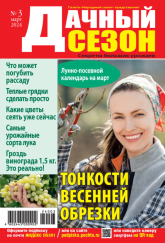 Обложка книги «Дачный сезон №03/2024»