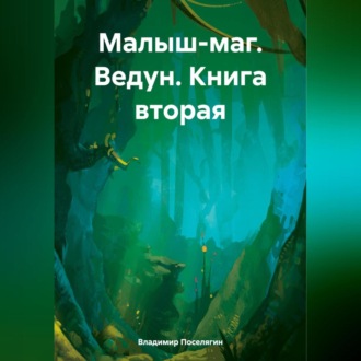 Обложка книги «Малыш-маг. Ведун. Книга вторая»