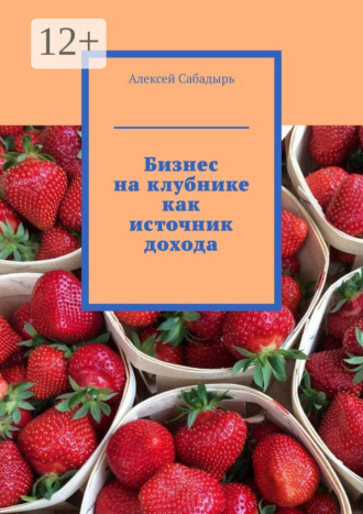 Обложка книги «Бизнес на клубнике как источник дохода»