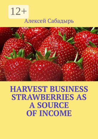 Алексей Сабадырь. Harvest Business Strawberries as a Source of Income