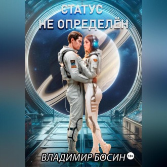 Обложка книги «Статус не определён»