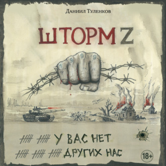 Обложка книги «Шторм Z. У вас нет других нас»