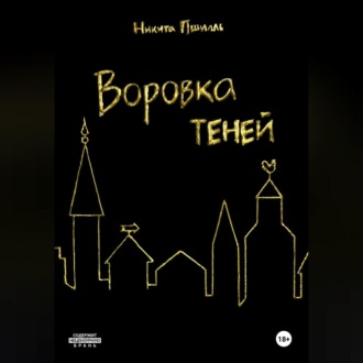 Обложка книги «Воровка Теней»