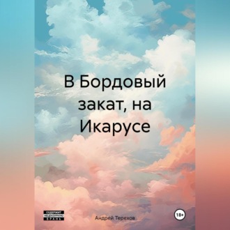 Обложка книги «В Бордовый закат, на Икарусе»