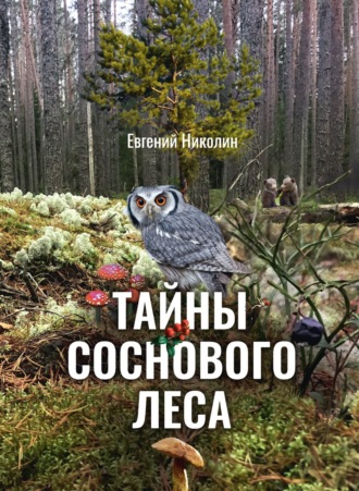 Е. Г. Николин. Тайны соснового леса