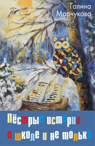 Обложка книги «Пёстрые истории о школе и не только…»