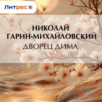 Обложка книги «Дворец Дима»