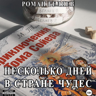 Обложка книги «Несколько дней в стране чудес»