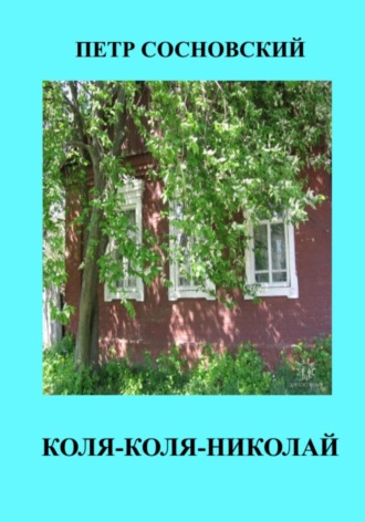 Обложка книги «Коля-Коля-Николай»