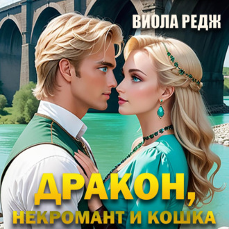 Обложка книги «Дракон, некромант и кошка»