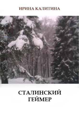 Обложка книги «Сталинский геймер»