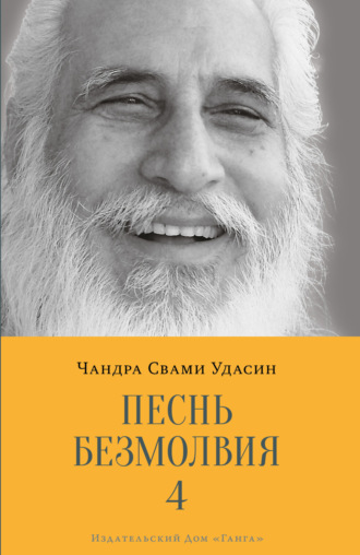 Обложка книги «Песнь безмолвия. Книга 4»