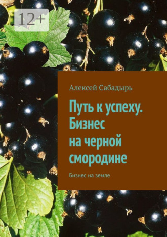 Обложка книги «Путь к успеху. Бизнес на черной смородине. Бизнес на земле»