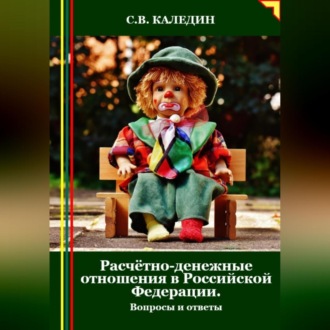 Обложка книги «Расчётно-денежные отношения в Российской Федерации. Вопросы и ответы»