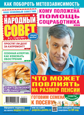 Обложка книги «Народный совет №11/2024»