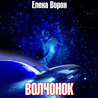 Обложка книги «Волчонок»