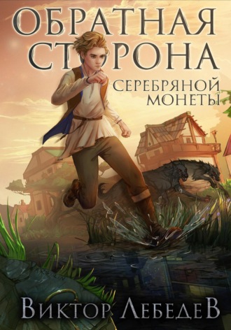 Обложка книги «Обратная сторона серебряной монеты»